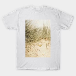 Beachside Chardonney T-Shirt